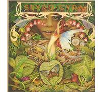 Spyro Gyra - Morning dance (1979) / Vinyl record [Vinyl-LP]