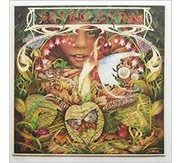 Spyro Gyra - Morning Dance