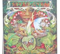 Spyro Gyra - Morning Dance