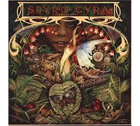 Spyro Gyra - Morning Dance [Vinyl LP]