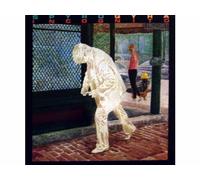 Spyro Gyra - SPYRO GYRA / INCOGNITO