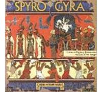 Spyro Gyra - Stories Without Words [CASSETTE]