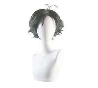 Spys Familys Damian Desmond Anime Cosplay Wig Synthetic Wigs for Halloween Cosplay Party