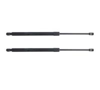 SQOFJGIGN Gas Struts 1 Pair Rear Tailgate Boot Gas Springs Struts Shock Lift Supports Rod Arm Bar Kit SG330046 For Buick Rainier 2004-2007 Hydraulic Rods
