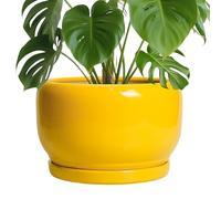 SQOWL 10 Inch Plant Pot - Ceramic Planter with Drainage Hole and Saucer, Modern Large Flower Pot for Indoor Outdoor Plants, Decorative Round Planter, Home Decor, Gifts for Gardeners Woman, Yellow