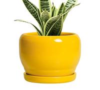 SQOWL 6 Inch Plant Pot - Ceramic Planter with Drainage Hole and Saucer, Modern Ceramic Flower Pots for Indoor Plants Outdoor, Round Decorative Small Planter, Desk Decor, Garden Gifts, Yellow