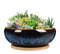 SQOWL 7 Inch Round Ceramic Succulent Planter Pot Drip Glazed Shallow Planter with Drainage Bamboo Tray for Indoor Plants