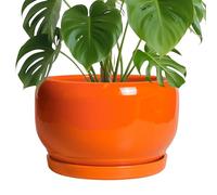 SQOWL Ceramic Planter - 10 Inch Plant Pot with Drainage Hole and Saucer, Round Modern Planter for Indoor Outdoor Plants, Decorative Large Flower Pot, House Decor, Gifts for Women Men, Orange