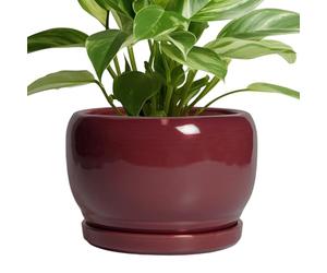 SQOWL Ceramic Planter - 8 Inch Plant Pot with Drainage Hole and Saucer, Round Planter for Indoor Outdoor Plants, Modern Decorative Flower Pots, Home Decor, Plant Lover Gifts, Red