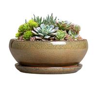 SQOWL Succulent Pots - 8 Inch Ceramic Bonsai Pots, Round Shallow Planter with Drainage Hole and Saucer, Succulent Indoor Planter, Bowl Planters Outdoor, Apartment Decor, Gifts for Women, Brown