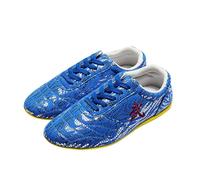 SQOYEI Karate Taekwondo Kung Fu Shoes Professional, Anti-Slip Bovine Tendon Soles Tai Chi Shoes Women Martial Arts Training Adolescents(4 UK,K)