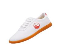 SQOYEI Kung Fu Shoes Men Anti-Slip Breathable, Canvas Upper Tai Chi Shoes for Taekwondo, Karate Unisex Contestant Trainers(White,44EU_A)