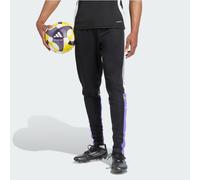 adidas Men's SQUADRA25 Training Pant, Black/Purple Rush, XL