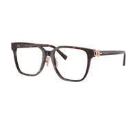 Square Acetate Frame - unisex - Tiffany & Co. - Glasses - Brown - 53 MM - Accessories 53 MM