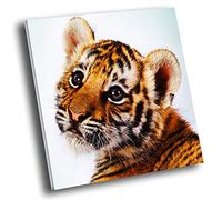 Square Animal Photo Canvas Wall Art Picture Prints Orange Tiger Cub Cat White