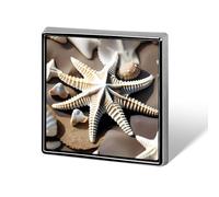 Square Beach Seashell Starfish Brooch Classic Mini Pin 0.7 Inch Aluminum Alloy Lapel Pin Personalized Button Badge for Backpack Hat Suit Jacket Clothing Decoration