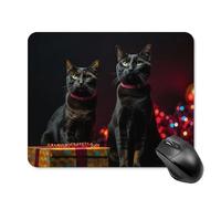 Square Cat Sitting on Gift Box Mouse Pad Non-Slip Rubber Small Cute Mouse Pad Mini Travel Gaming Mousepad Washable Funny Computer Mat Waterproof for Laptop Office Home Men Women