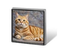 Square Cute Cat Brooch Classic Mini Pin 0.7 Inch Aluminum Alloy Lapel Pin Personalized Button Badge for Backpack Hat Suit Jacket Clothing Decoration