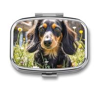 Square Cute Dachshund Pill Box Small Pill Case with 2 Compartment Portable Metal Medicine Organizer Mini Travel Medicine Vitamin Supplement Container for Pocket Purse