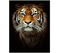 Square Diamond Painting Accessories Picture Large Tiger 15x19 inches Animal Painting by Numbers Cross Stitch Rhinestone Embroidery Arts Crafts Supplies for Indie Aesthetic Room Decor 40x50 cm