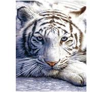Square Diamond Painting Full Drill Large Tiger 15x19 inches Square Stones DIY 5D Mosaic Pictures Adult Cross Stitch Beads Pictures Gaming Wall Art for Living Room Bedroom Office Wall Decor 40x50cm