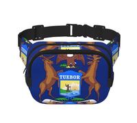 Square Double Layer Michigan State Flag Print Waist Bag Outdoor Travel Use For Hiking Running Jogging