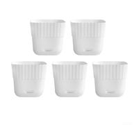 Square For Indoor Plant Pots Set of 5 with Drainage Features for Optimal Growth (White)