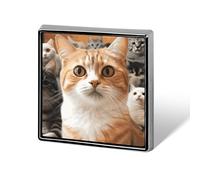 Square Funny Pet Cat Brooch Classic Mini Pin 0.7 Inch Aluminum Alloy Lapel Pin Personalized Button Badge for Backpack Hat Suit Jacket Clothing Decoration