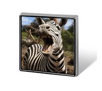 Square Funny Zebra Brooch Classic Mini Pin 0.7 Inch Aluminum Alloy Lapel Pin Personalized Button Badge for Backpack Hat Suit Jacket Clothing Decoration