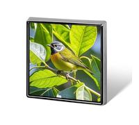 Square Green Leaves And Birds Brooch Classic Mini Pin 0.7 Inch Aluminum Alloy Lapel Pin Personalized Button Badge for Backpack Hat Suit Jacket Clothing Decoration