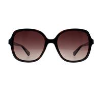Square Havana Brown Gradient Polarized PLD 4177/S/X Polaroid Brown One Size