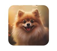 Square Leather Coaster Set of 4 cute pomeranian pattern : Anti-fouling and anti-scalding Fits all Coffee Cups Sports Cups and Mugs