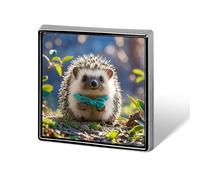 Square Lovely Hedgehog Brooch Classic Mini Pin 0.7 Inch Aluminum Alloy Lapel Pin Personalized Button Badge for Backpack Hat Suit Jacket Clothing Decoration