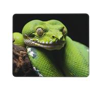 Square Mouse Pad Cute Green Tree Python Mouse Mat with Rubber Base Computer Mouse Pads for Wireless Mouse Non-Slip Mousepad for Laptop Office Desk Accessories Gaming Mousepad 10 x 12 inch