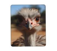 Square Mouse Pad Cute Ostrich Mouse Mat with Non-Slip Rubber Base Custom Computer Mouse Pads for Wireless Mouses Laptop Office Desk Accessories Gaming Mousepad 10 x 12 inch