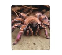 Square Mouse Pad Large Mexican Pink Tarantula Mouse Mat with Non-Slip Rubber Base Custom Computer Mouse Pads for Wireless Mouses Laptop Office Desk Accessories Gaming Mousepad 8.3 x 10.3 in