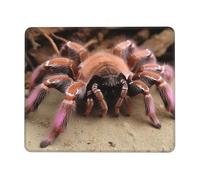 Square Mouse Pad Large Mexican Pink Tarantula Mouse Mat with Non-Slip Rubber Base Custom Computer Mouse Pads for Wireless Mouses Laptop Office Desk Accessories Gaming Mousepad 8.3 x 10.3 in