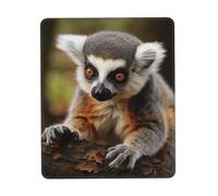 Square Mouse Pad Monkey Lemur Cute Mouse Mat with Non-Slip Rubber Base Custom Computer Mouse Pads for Wireless Mouses Laptop Office Desk Accessories Gaming Mousepad 10 x 12 inch
