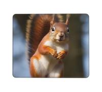 Square Mouse Pad with Non-Slip Rubber Base 10 x 12 inch Mouse Mat with Stitched Edge Squirrel Funny Animal Gaming Mousepad for Wireless Mouse Computer Laptop Home Office Desk Pad
