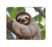 Square Mouse Pad with Non-Slip Rubber Base 7 x 8.6 in Mouse Mat with Stitched Edge A Sloth on a Tree Branch Gaming Mousepad for Wireless Mouse Computer Laptop Home Office Desk Pad