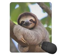 Square Mouse Pad with Non-Slip Rubber Base A Sloth on a Tree Branch Mouse Mat with Stitched Edge Gaming Mousepad for Wireless Mouse Computer Laptop Home Office Desk Pad11.8"x9.8"