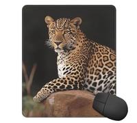 Square Mouse Pad with Non-Slip Rubber Base African Leopard on Rock Mouse Mat with Stitched Edge Gaming Mousepad for Wireless Mouse Computer Laptop Home Office Desk Pad 9.4"x7.9"