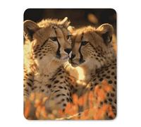 Square Mouse Pad with Non-Slip Rubber Base Cheetah Love Mouse Mat with Stitched Edge Gaming Mousepad for Wireless Mouse Computer Laptop Home Office Desk Pad 25 * 30cm