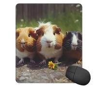 Square Mouse Pad with Non-Slip Rubber Base Guinea Pigs Funny Mouse Mat with Stitched Edge Gaming Mousepad for Wireless Mouse Computer Laptop Home Office Desk Pad11.8"x9.8"