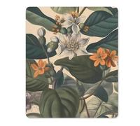 Square Mouse Pad with Non-Slip Rubber Base Hand Painted Plants Mouse Mat with Stitched Edge Gaming Mousepad for Wireless Mouse Computer Laptop Home Office Desk Pad 18 * 22cm