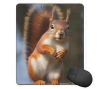 Square Mouse Pad with Non-Slip Rubber Base Squirrel Funny Animal Mouse Mat with Stitched Edge 10" x 12" Gaming Mousepad for Wireless Mouse Computer Laptop Home Office Desk Pad