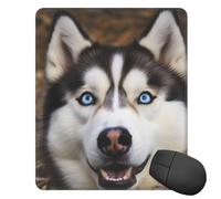 Square Mouse Pad with Non-Slip Rubber Base Stupid Husky Dog Mouse Mat with Stitched Edge Gaming Mousepad for Wireless Mouse Computer Laptop Home Office Desk Pad11.8"x9.8"