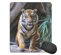 Square Mouse Pad with Non-Slip Rubber Base Tiger in The Zoo Mouse Mat with Stitched Edge Gaming Mousepad for Wireless Mouse Computer Laptop Home Office Desk Pad 9.4"x7.9"