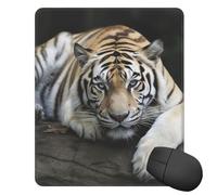 Square Mouse Pad with Non-Slip Rubber Base Tiger Lie On Rock Mouse Mat with Stitched Edge Gaming Mousepad for Wireless Mouse Computer Laptop Home Office Desk Pad 9.4"x7.9"