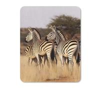 Square Mouse Pad with Non-Slip Rubber Base Zebras On South Africa Mouse Mat with Stitched Edge Gaming Mousepad for Wireless Mouse Computer Laptop Home Office Desk Pad 20 * 25cm